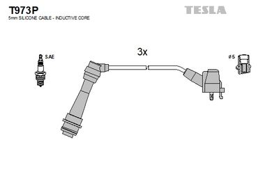 SET CABLAJ APRINDER TESLA T973P