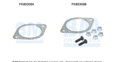 Zestaw montażowy, katalizator BM CATALYSTS FK80309