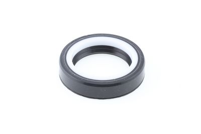 Dichtring