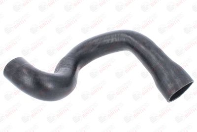 FURTUN EAR SUPRAALIMENTARE BIRTH 55761 1