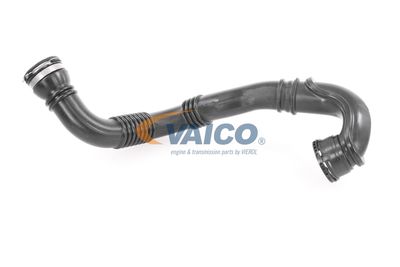 FURTUN EAR SUPRAALIMENTARE VAICO V409741 18