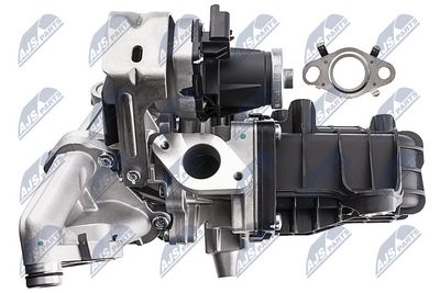 SUPAPA EGR NTY EGRPE019 4