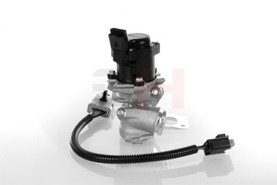 SUPAPA EGR GH GH732566 25