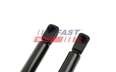 AMORTIZOR PORTBAGAJ FAST FT00189K 2