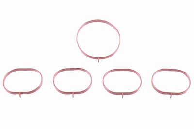 MODUL CONDUCTA ADMISIE VAICO V301074 1