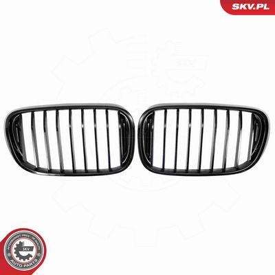 GRILA RADIATOR ESEN SKV 66SKV222 1