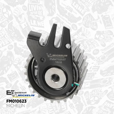 SET CUREA DE DISTRIBUTIE ET ENGINETEAM RM0035 3
