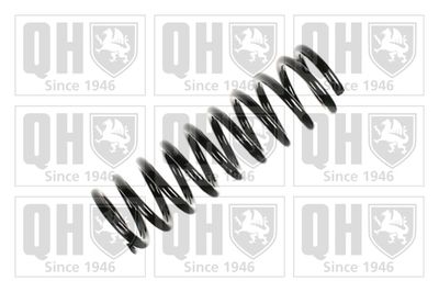 Пружина ходовой части QUINTON HAZELL QCS5600 для MERCEDES-BENZ 190