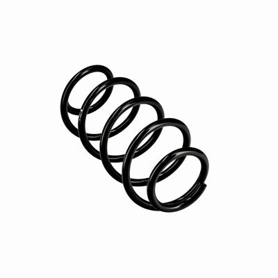 ARC SPIRAL EIBACH R10193 11