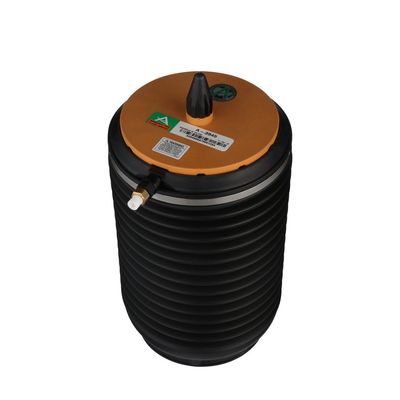 LUFTFEDER FAHRWERK Arnott A3945 54