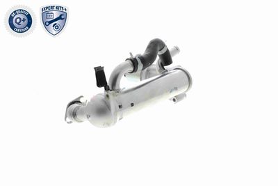 MODUL-EGR ACKOJA A52630018 5