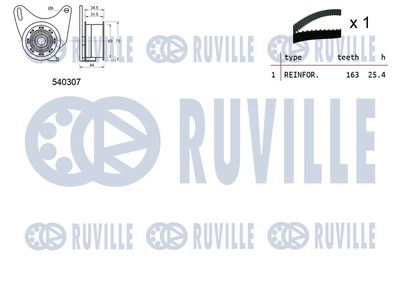 SET CUREA DE DISTRIBUTIE RUVILLE 550456 1