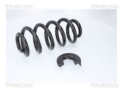 ARC SPIRAL TRISCAN 875029577 1