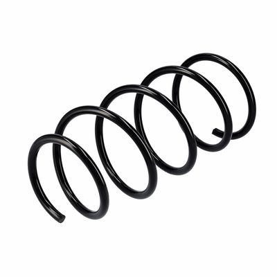 ARC SPIRAL EIBACH R10991 16