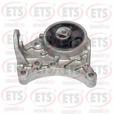 окачване, двигател ETS 55.EM.100