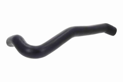 FURTUN EAR SUPRAALIMENTARE ACKOJA A380640 1