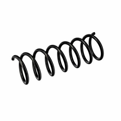 ARC SPIRAL EIBACH R10838 5