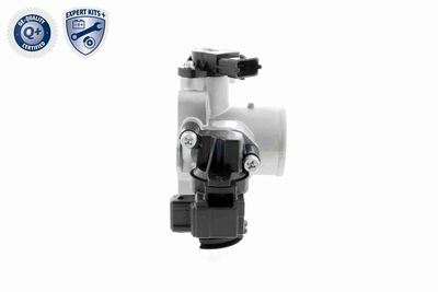 CARCASA CLAPETA ACKOJA A53810002 10