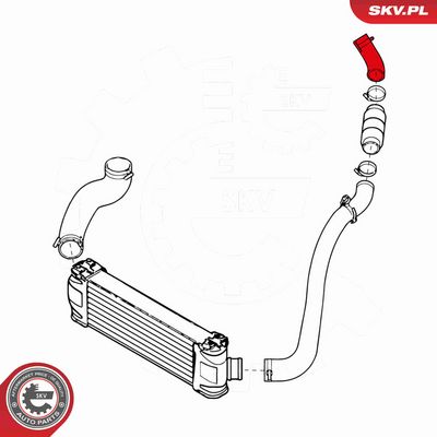 FURTUN EAR SUPRAALIMENTARE ESEN SKV 24SKV910 3