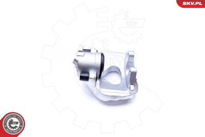 Brake Caliper 45SKV312