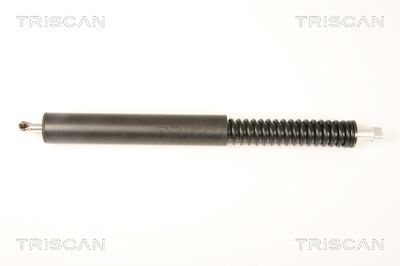 Pneumatická pružina, zavazadlový / nákladový prostor TRISCAN 8710 28244