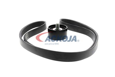 SET CUREA TRANSMISIE CU CANELURI ACKOJA A520515 46