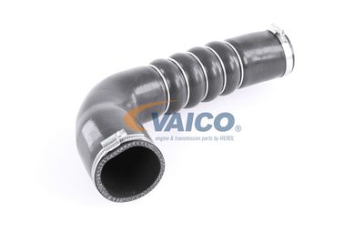 FURTUN EAR SUPRAALIMENTARE VAICO V103794 55