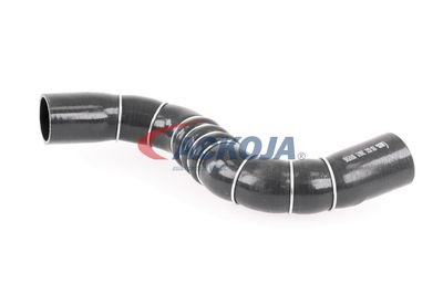 FURTUN EAR SUPRAALIMENTARE ACKOJA A389602 38