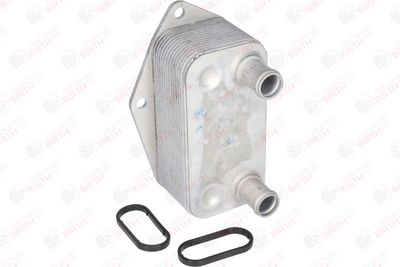 RADIATOR ULEI ULEI MOTOR BIRTH 80041 12