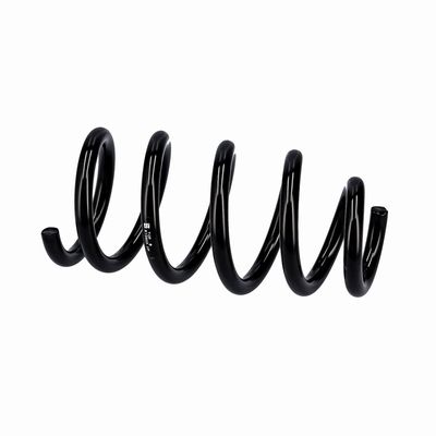 ARC SPIRAL EIBACH R10603 8