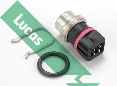 SENZOR TEMPERATURA LICHID DE RACIRE