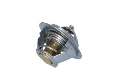TERMOSTAT LICHID RACIRE NRF 725181 30