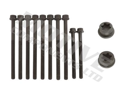 Комплект болтов головки цилидра MOTIVE HB8141SET для FORD C-MAX