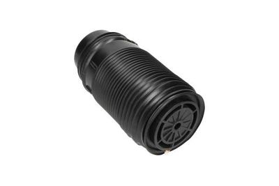 ARC PNEUMATIC DIRECTIE Kavo Parts SAS10014 20