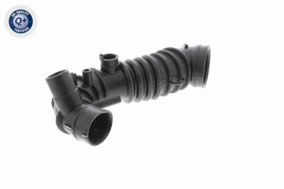 PALNIE FILTRU DE AER