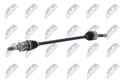 PLANETARA NTY NPWMS124 4