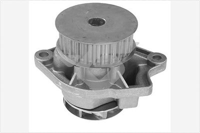 WASSERPUMPE MOTORKüHLUNG