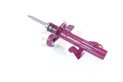 AMORTIZOR GH GH353203H 55