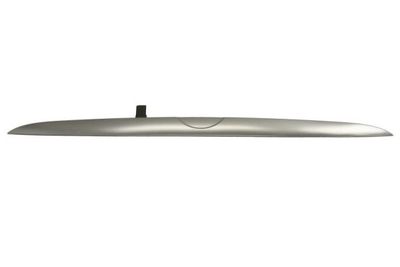 Boot lid strip past: BMW X5 E53 05.00-12.06