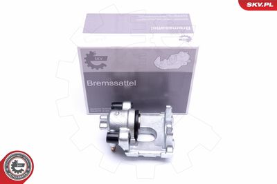 Brake Caliper 42SKV994