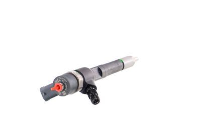 INJECTOR REMANTE 002003001711R 31