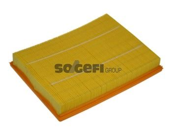 Air Filter A1167