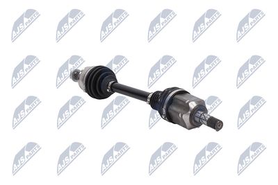 PLANETARA NTY NPWCH038 29