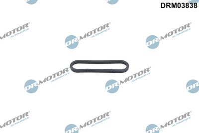 Dr.Motor Automotive Tarpiklis, pavaros grandinės įtempiklis