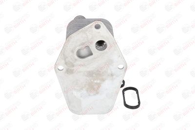 RADIATOR ULEI ULEI MOTOR BIRTH 80041 7