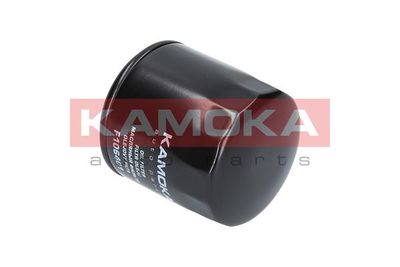 Oil Filter F106401