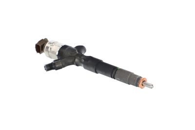 INJECTOR REMANTE 002003002073R 48