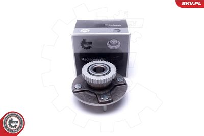 Wheel Bearing Kit 29SKV520