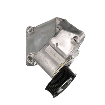 INTINZATOR CUREA CUREA DISTRIBUTIE GATES T38316 76