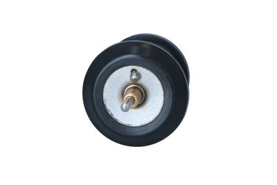 TERMOSTAT LICHID RACIRE NRF 725250 5